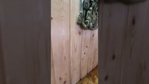 Дом посёлок Палово , Холмогорский р-н, Архангельская область