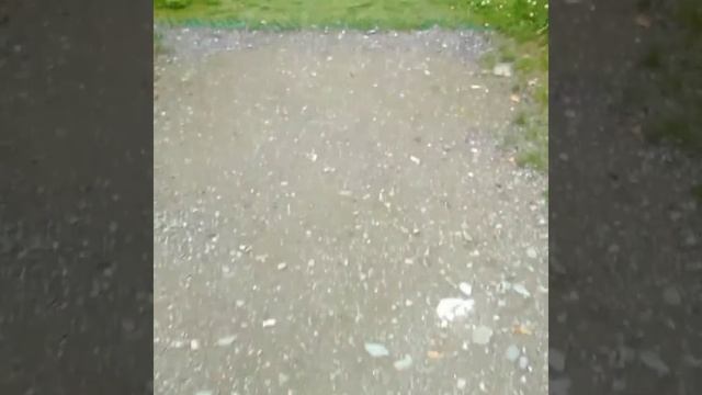 Тэнери ландшафт. Горный Алтай Ютуб заблокировал музыку. смотреть онлайн