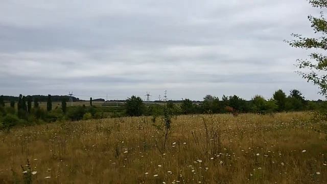 Лука Мелешківська Вінниця смотреть онлайн