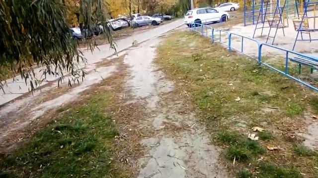 Киев, Оболонь, ул. Приречная 17. Активное использование газонов