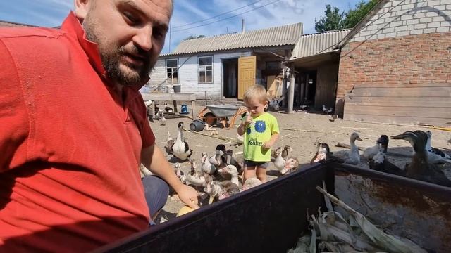 вот такая неприятность получилась🤷♂️