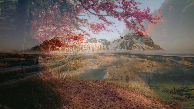 10 продуктов удлиняющих жизнь смотреть онлайн