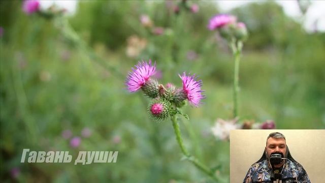 Тайная жизнь любимой жены, ставшая явью. Рассказ пoразит вас до глубины души