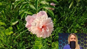 Марина застыла у светофора, увидев в машине своего мужа с любовницей. И решив им отомстить...