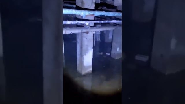 Затопление дом на улице Привольной в Белгороде
