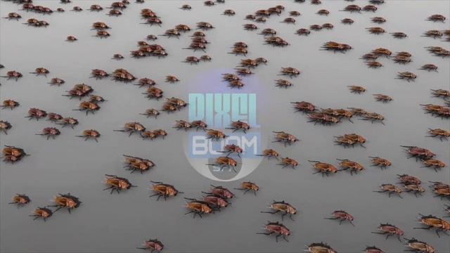 Anti Roaches Invasion Ultrasonic Sound Stop Beetle Insects How to get rid of Cockroach Forever смотреть онлайн