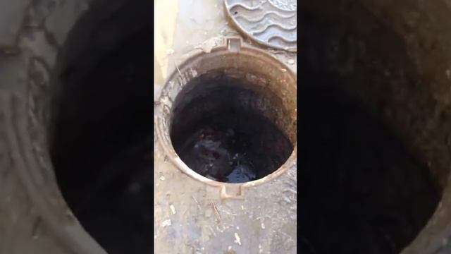 Открытый колодец около детской площадки смотреть онлайн