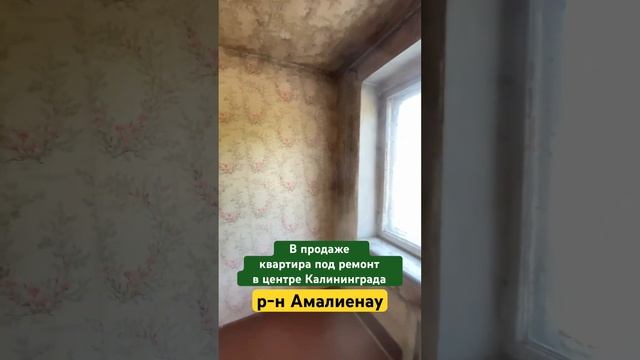 Квартира в центре Калининграда || р-н Амалиенау #недвижимостькалининград смотреть онлайн