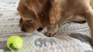 Как заставить шарик пищать?