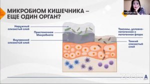 2024 07 03 История Nutrilite - Школа бизнеса Amway