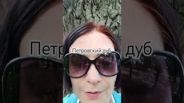 Место Силы в Коломенском - Петровский дуб
