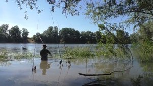 КАК НАЙТИ РЕЧНОГО КАРПА ! Как поймать карпа летом ! Если хочешь поймать Карпа делай так! РЕКА ДНЕСТ