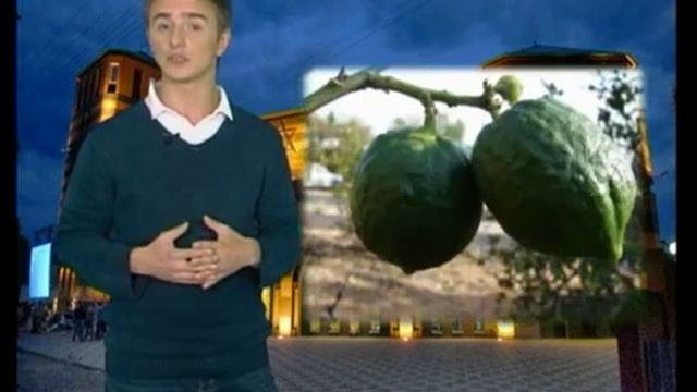 "Шофар". Рош Ашана в школе "Ор-Авнер", обряд Капарот 1 смотреть онлайн