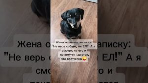 СБОРНИК ПРИКОЛОВ.
 ПРИКОЛЬНАЯ ОЗВУЧКА ТАКСЫ.