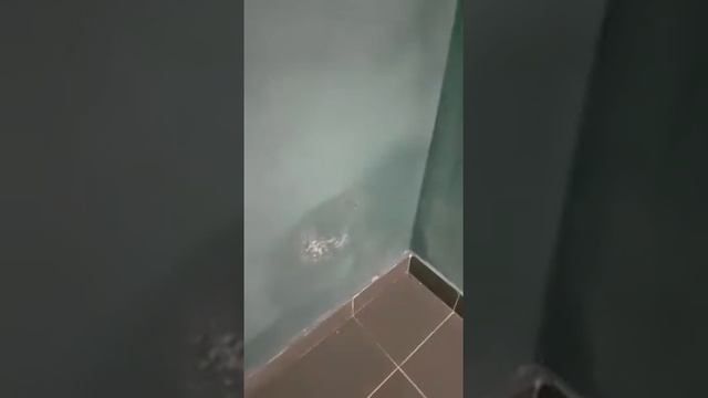 Часть 2. Атомстройкомплекс, Екатеринбург, улица Кировоградская 4 смотреть онлайн