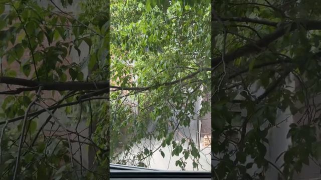 Квартира посуточно Каспийск