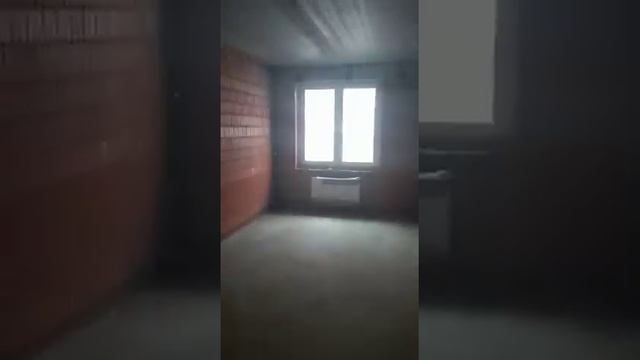 Моя квартира в Шушарах