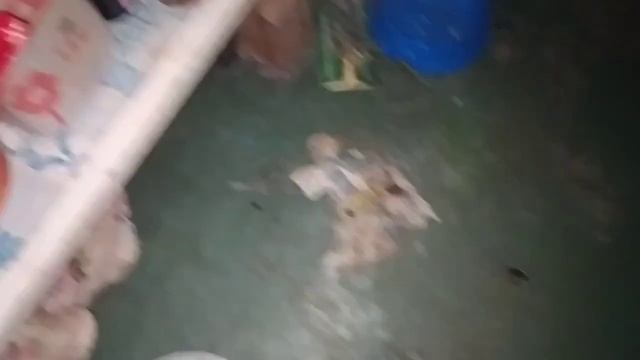 БОРЬБА С ТАРАКАНАМИ В КВАРТИРЕ. НОВЫЙ ВЫПУСК, ВЫВОЖУ ТАРАКАНОВ