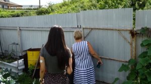 БЕССОВЕСТНЫЙ СОСЕД В ЕМЕЛЬЯНОВО