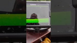 Первое знакомство с эхалотом Garmin Striker Vivid 7sv. Учусь пользоваться.