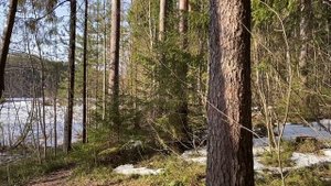 ДОЧЬ ХОТЕЛА ЗАБРАТЬ МАМИНУ КВАРТИРУ, А ЕЁ ВЫСЕЛИТЬ... | Истории из жизни.