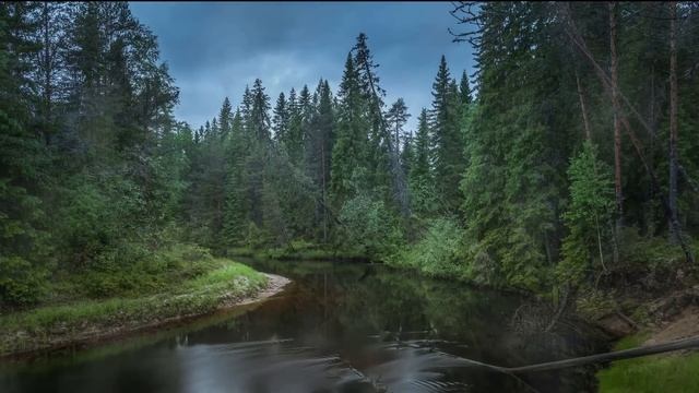 тайга, лес, река, северная природа