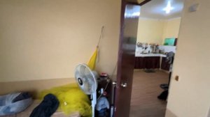 Аренда жилья на острове Панглао | Цены | Филиппины 2024