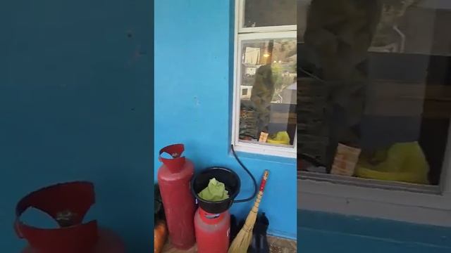 Рыбачье квартира смотреть онлайн