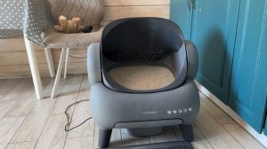 МЕЙН-КУНЫ В ВОСТОРГЕ! / Обзор автоматического кошачьего лотка Neakasa M1