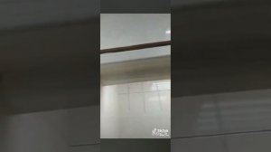 Установщики дверей с Авито