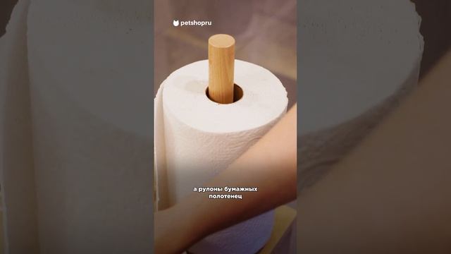 Три важных правила для прогулок попугая по квартире  #попугай