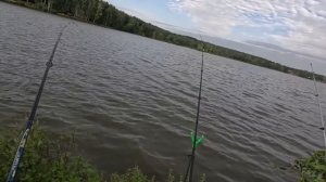 СУПЕР УЛОВИСТАЯ ДОННАЯ СНАСТЬ С КОРМУШКОЙ