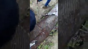 Покорение Лихославля Часть 2