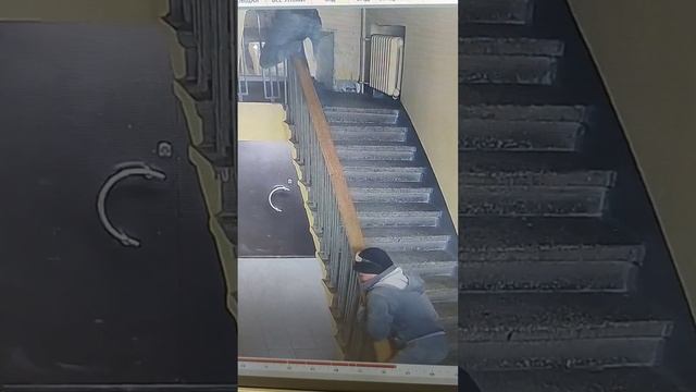 Строители тоже дети. Центр Москвы, подъезд. смотреть онлайн