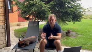 Французские бульдоги: Плюсы и Минусы Содержания Породы