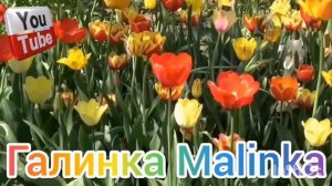 Сельчанка в Америке /Замуж за первого встречного /Обзор /Selchanka v Amerike /Funny 4 /Big Big