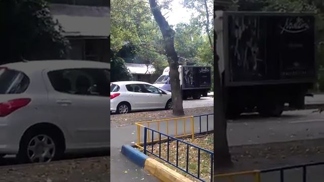 VIDEO0030 0 смотреть онлайн