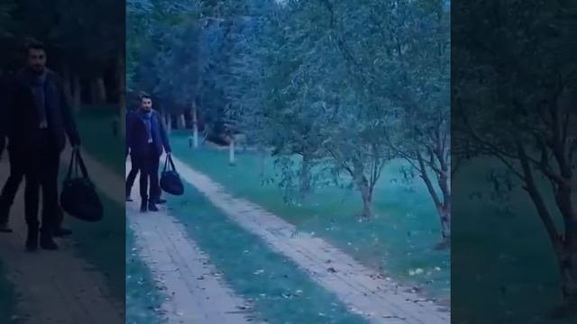 ПУЛОД АЛЕМДОР И ЧОХИД НА ОПЕРАЦИИ |2020