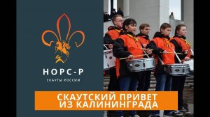 2011   Скаутский привет, Калининград