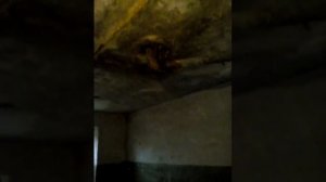 Ужасная общага в Южном Сухокумске,очень вонючая 😐😧😤😨