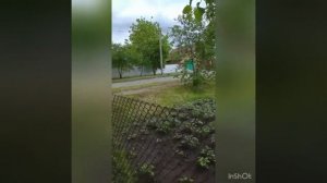 Будинок село Гарбузин , Корсунь-Шевченківський район