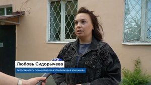 Тараканы атакуют! Что делать, если у вас появились «усатые друзья»?