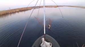 ПАУК ХОДУНОМ ОТ ТАКИХ ПОДЪËМОВ! Рыбалка на паук подъемник на Сибирской реке весной.