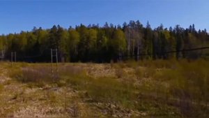 СКОРО ЗАРЫДАЕТЕ..БЛАЖЕННАЯ СТАРИЦА ДУНЮШКА ЧУДИНОВСКАЯ..ч4