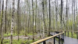 Дорогая, мама летом будет жить на твоей даче, а мы проведем отпуск в ее квартире!