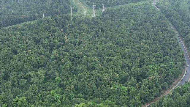 Ремонт участка трассы Владивосток  Артем.