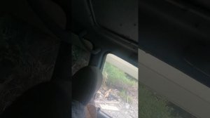 Пахучие палочки от комаров и мух с Озона. ТЕСТ В РЕАЛЬНЫХ УСЛОВИЯХ. это провал. не покупайте!