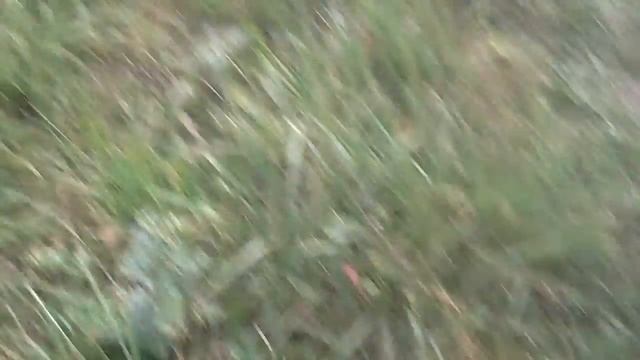 Мы пошли строить штаб в деревне смотреть онлайн