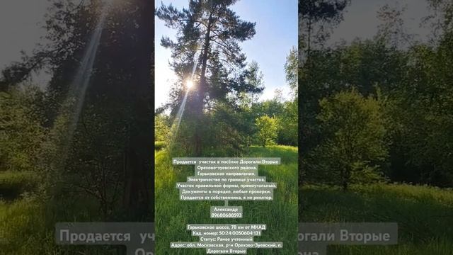 Видео обзор участка. 15 соток. смотреть онлайн