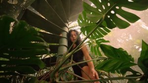 Markus Schulz & Jared Lee - Utopia | Official Music Video